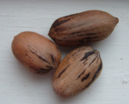 group-of-pecans